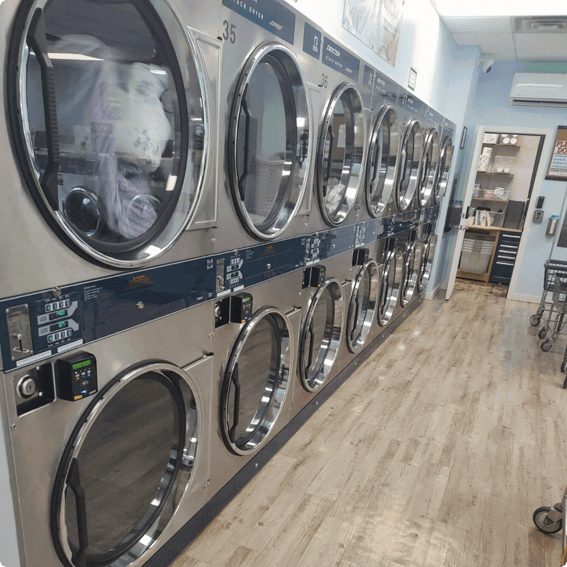 $50 Off Card Readers